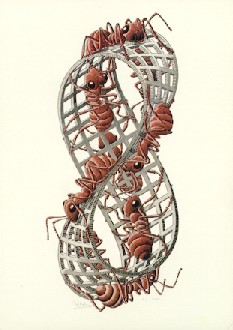 Escher's Mobius Strip II